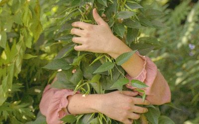 Conectarse a la Tierra gracias al Diseño Biofílico